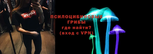 ECSTASY Абаза
