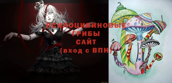 МДПВ Абдулино